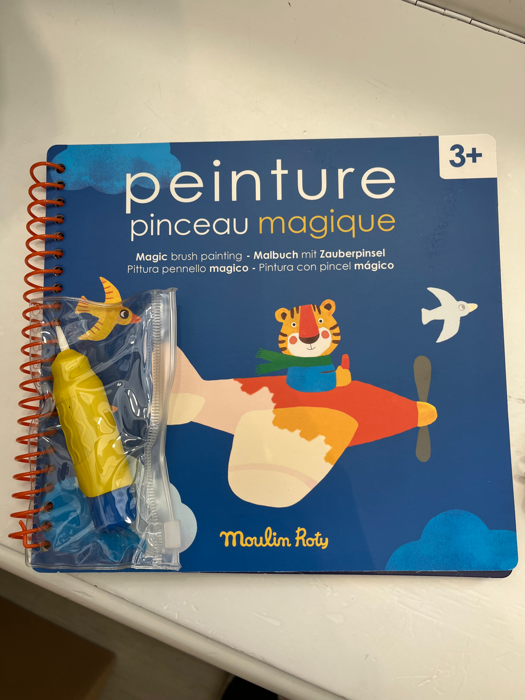 Libro magico con pennello ad acqua