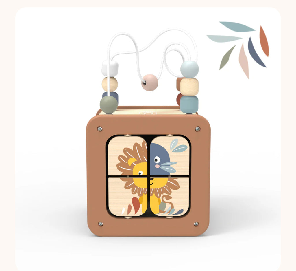 Cubo multi attività 5 in 1h