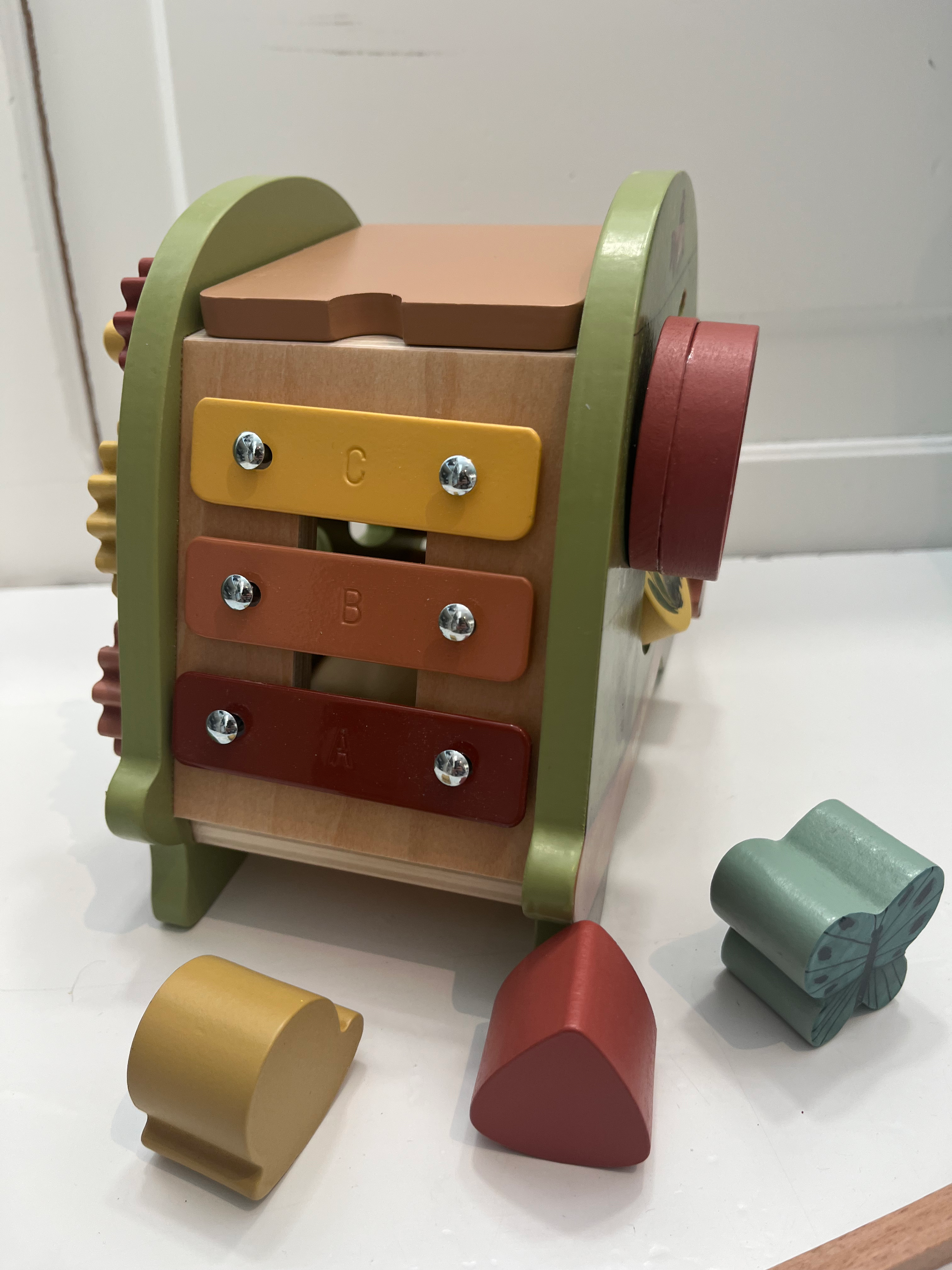 La tartaruga multi attività