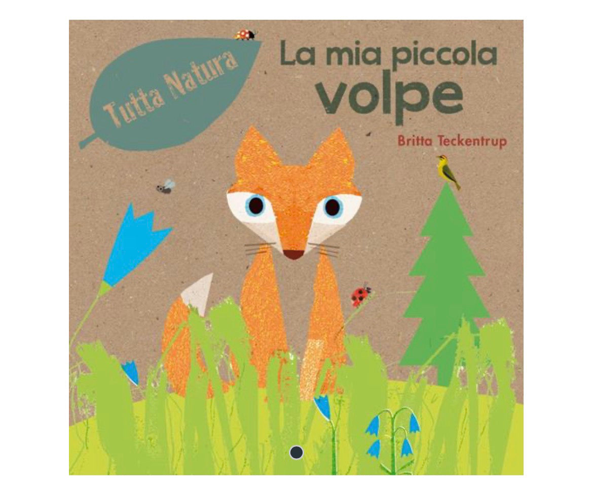 La mia piccola volpe ( cartonato)