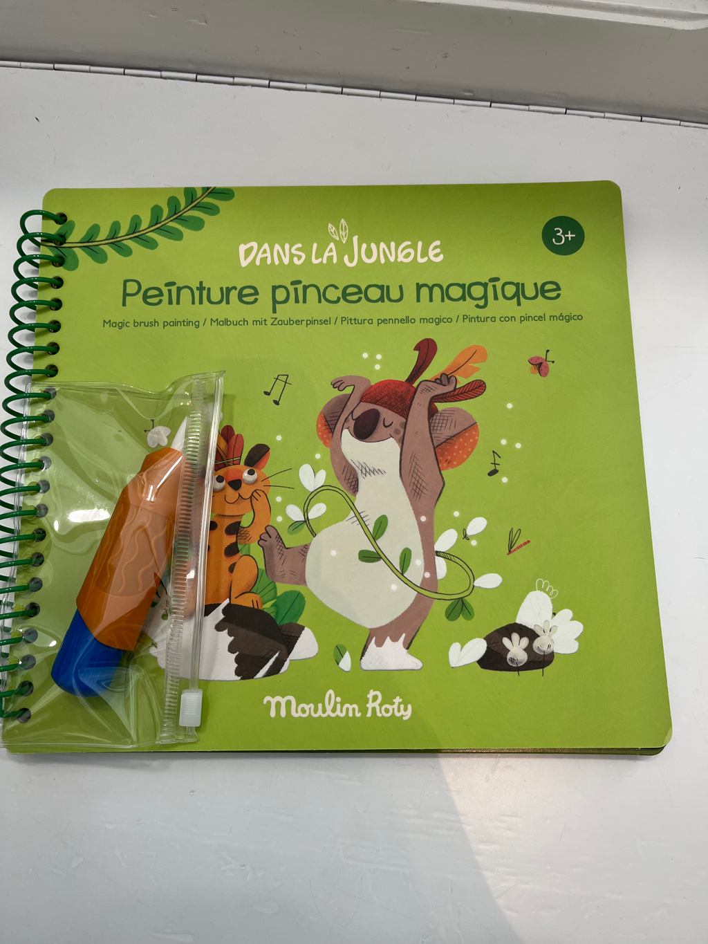 Libro magico con pennello ad acqua
