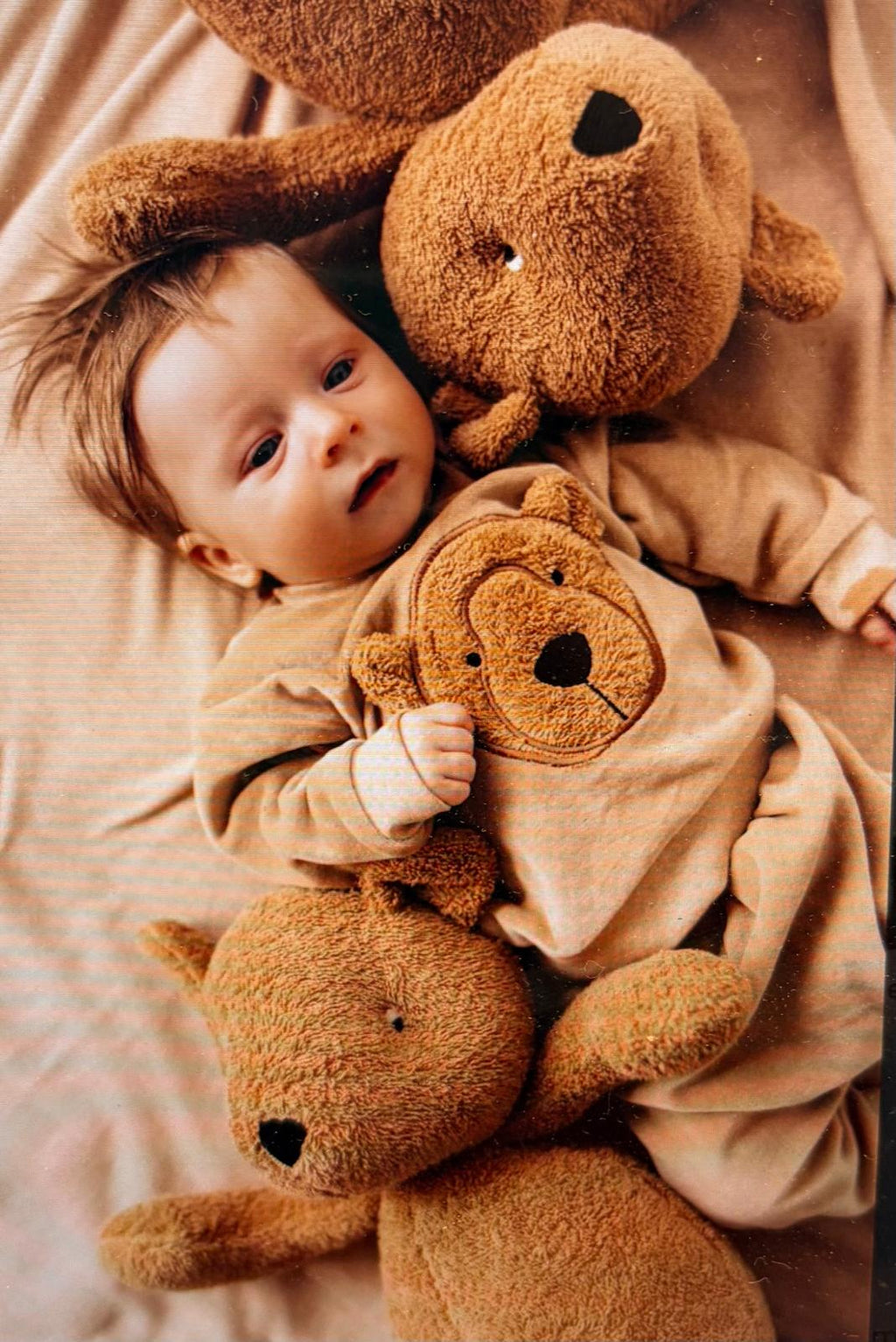 teddy caramel wooly organic