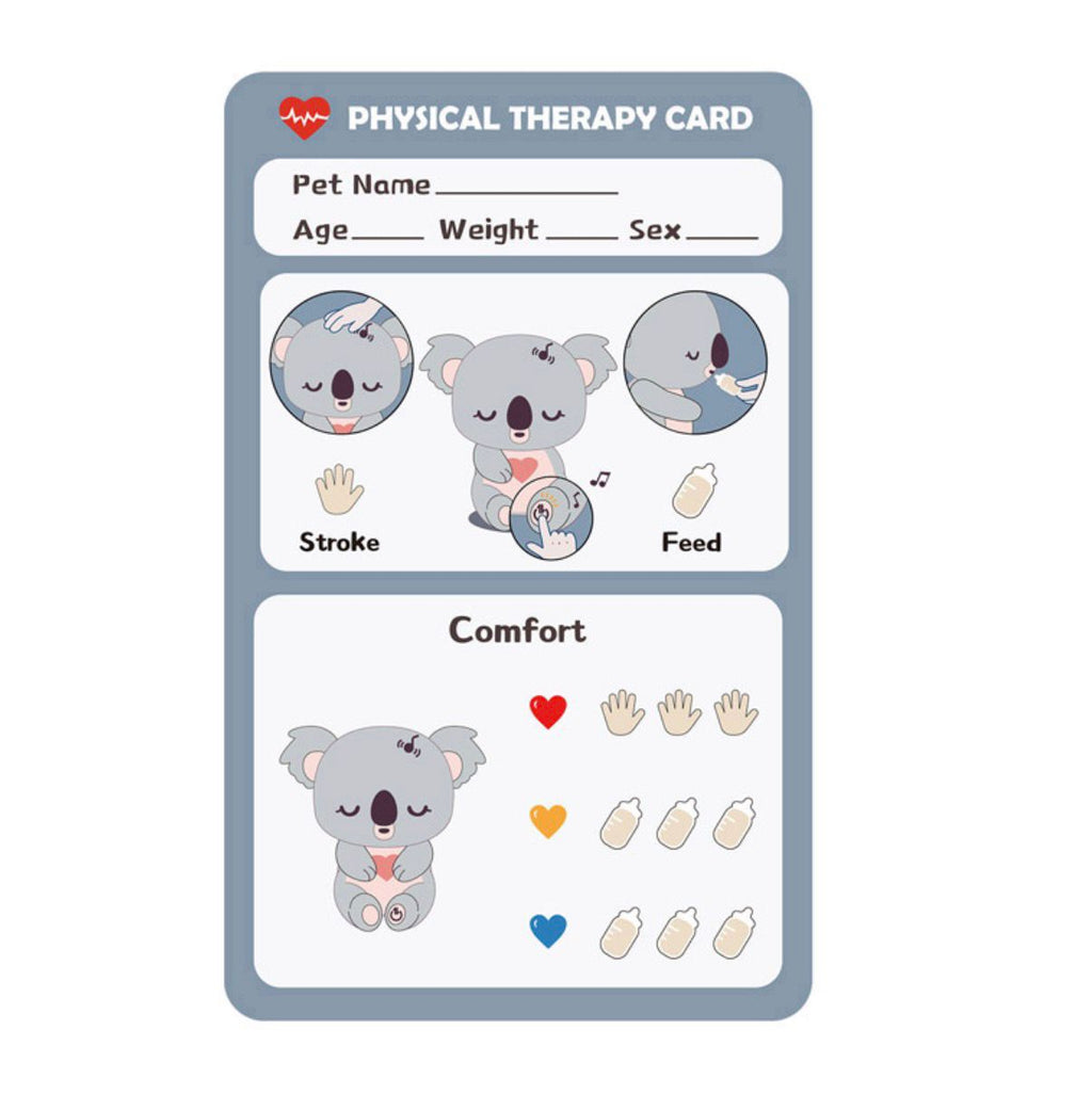 gioco educativo koala +36 topbright