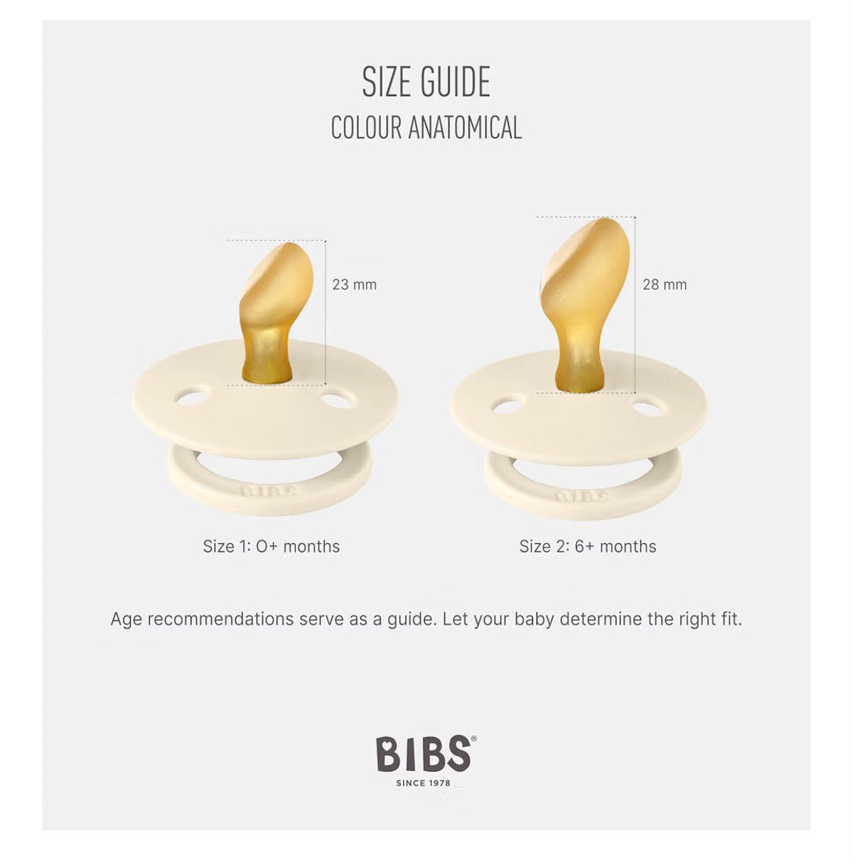 ciucci bibs colour anatomical natural rubber