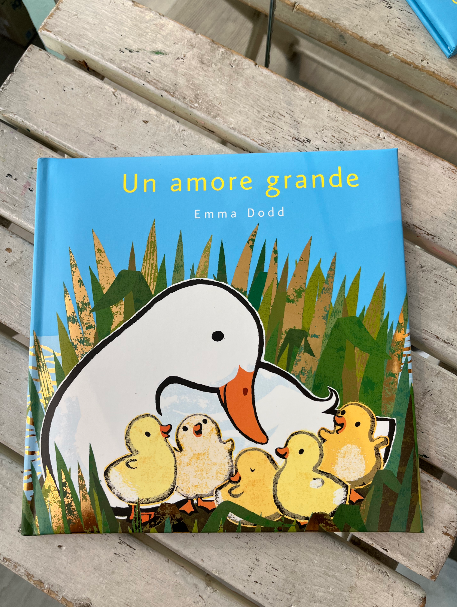 Un amore grande Emma Dodd